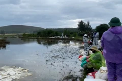 [Video] 18 ha đất sản xuất bị ảnh hưởng do sự cố tràn dầu tại Dung Quất