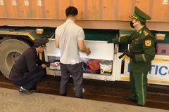 [Video] Quảng Trị: Ngăn chặn hàng lậu qua biên giới dịp giáp Tết