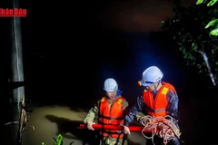 [Video] Điện lực miền Bắc cấp điện trở lại cho khoảng 66,9% khách hàng bị ảnh hưởng sau bão số 11