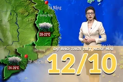[Video] Dự báo thời tiết đêm nay và ngày mai 12/10/2025: Trung Bộ có điểm mưa to