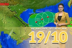 [Video] Dự báo thời tiết đêm nay và ngày mai 19/10/2025: Bão Fengshen sắp đi vào Biển Đông