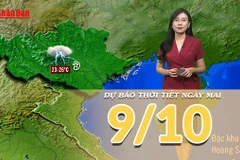 [Video] Dự báo thời tiết đêm nay và ngày mai 9/10/2025: Mưa chỉ còn chủ yếu về đêm
