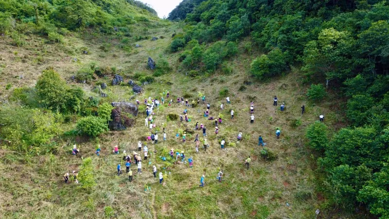 Trong năm 2024, chiến dịch “Góp lá vá rừng - Vì một Việt Nam xanh và phát triển bền vững” đã trồng được 35 nghìn cây xanh và phục hồi được 53ha rừng. 