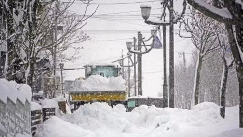 Tuyết rơi dày đặc tại Hokkaido, Nhật Bản. (Ảnh: Kyodo/TTXVN)