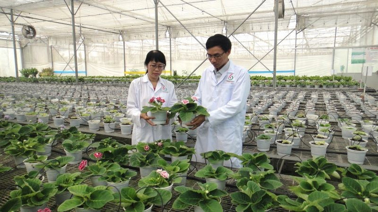 Khu trình diễn hoa chuông tại Trung tâm Công nghệ sinh học Thành phố Hồ Chí Minh. nongnghhiep-6.jpg