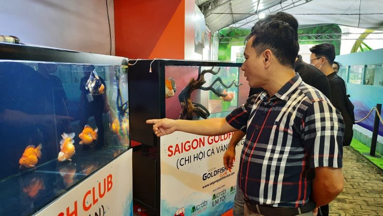 Khách tham quan khu trưng bày cá cảnh tại Hội chợ triển lãm giống, cây trồng công nghệ cao Thành phố Hồ Chí Minh. nongnghiep-5.jpg