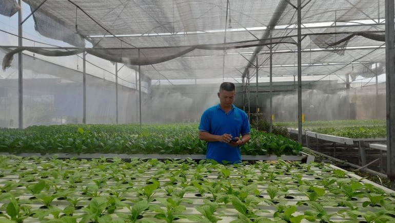 Hợp tác xã nông nghiệp Tuấn Ngọc ứng dụng chuyển đổi số trong sản xuất nông nghiệp. nongnghiep-3.jpg