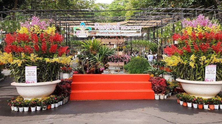 Festival hoa lan Thành phố Hồ Chí Minh. lan-9.jpg