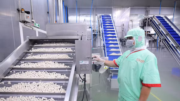 Hiện nay, các doanh nghiệp lớn đã chủ động tích hợp các tiêu chí ESG vào chiến lược quản trị, sản xuất, chuỗi cung ứng, thậm chí quảng bá thương hiệu xanh. (Ảnh: ĐỖ BẢO)