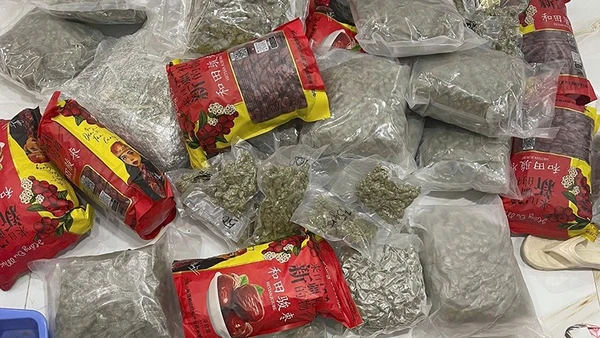 Hơn 200kg ma túy cần sa khô bị lực lượng công an thu giữ.