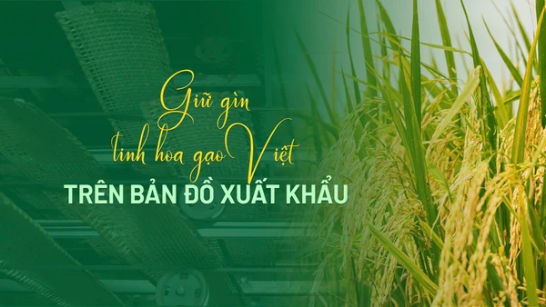 Gìn giữ tinh hoa gạo Việt trên bản đồ xuất khẩu