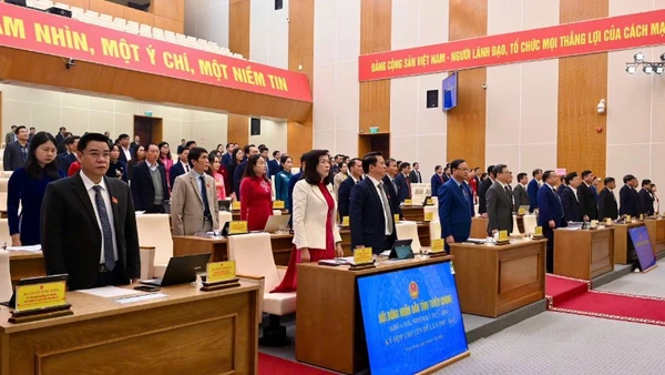 Các đại biểu thực hiện nghi thức chào cờ.