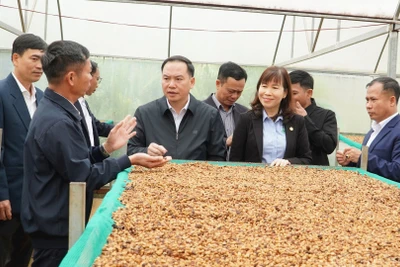 Phó Bí thư Tỉnh ủy Hồ Xuân Trường đề nghị, huyện Đắk Song cần phát huy thế mạnh của địa phương, để tạo động lực phát triển.