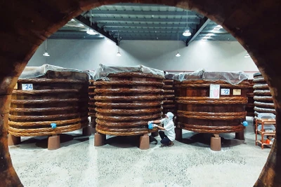 Một trong những xưởng ủ chượp làng nghề nước mắm Khúc Phụ.