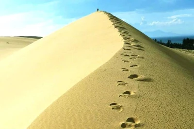 Đồi cát Quang Phú, tỉnh Quảng Bình. (Ảnh minh họa)