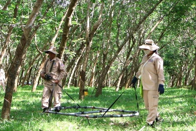Nhân viên dự án MAG dò tìm và xử lý bom mìn, vật nổ sót lại sau chiến tranh tại huyện Bố Trạch, tỉnh Quảng Bình.