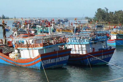 Quảng Bình hỗ trợ cước thuê bao dịch vụ giám sát hành trình tàu cá sẽ giúp ngư dân giảm khó khăn và công tác quản lý đội tàu cá đi vào nề nếp.