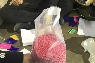 Tang vật với hơn 16 nghìn viên ma túy tổng hợp mà Công an huyện Quảng Ninh (Quảng Bình) thu giữ.