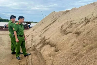 Lượng lớn cát không có nguồn gốc hợp pháp tại huyện Quảng Ninh bị Công an phát hiện và xử lý. (Ảnh: Công an Quảng Bình)