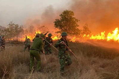 Bộ đội Biên phòng Quảng Bình tham gia cùng các lực lượng dập lửa cứu rừng trên cát ở xã Hải Ninh, huyện Quảng Ninh.