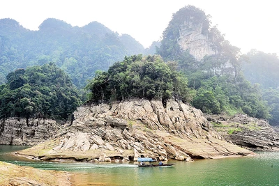 Hệ sinh thái đa dạng tại Khu bảo tồn thiên nhiên Na Hang-Lâm Bình. 