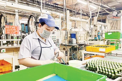 Công nhân Công ty TNHH Juki (Việt Nam) tại Khu chế xuất Tân Thuận, Thành phố Hồ Chí Minh. (Ảnh nhandan.vn)