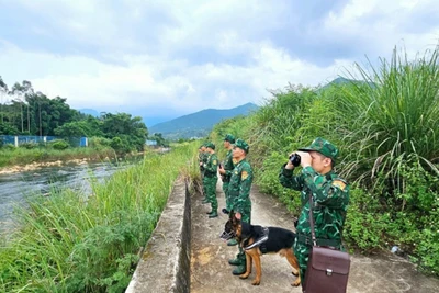 Cán bộ, chiến sĩ Đồn Biên phòng Cửa khẩu Hoành Mô, Bình Liêu (Quảng Ninh) tăng cường tuần tra, kiểm soát ngăn chặn và đấu tranh hiệu quả với tội phạm buôn bán người qua biên giới.