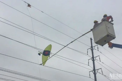 Công nhân ngành điện lực Thái Bình đang xử lý một chiếc diều lớn mắc vào đường dây điện.