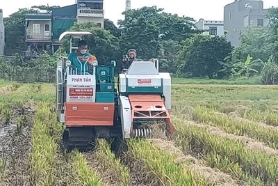 Trình diễn máy cuộn rơm trên đồng ruộng xã Vũ Quý (huyện Kiến Xương, tỉnh Thái Bình).