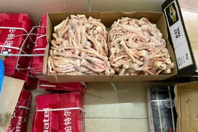 Các thùng giấy có chữ nước ngoài đựng chân gà đông lạnh bị lực lượng chức năng phát hiện. (Ảnh: Quản lý thị trường cung cấp)