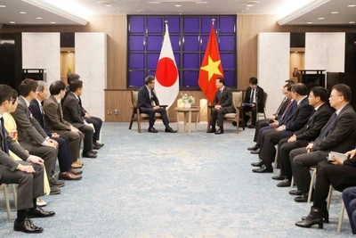 Chủ tịch nước Võ Văn Thưởng tiếp Đoàn đại biểu Hiệp hội chuyên gia Nhật Bản-Việt Nam do Giáo sư Mitsuo Ochi, Hiệu trưởng Trường đại học Hiroshima làm trưởng đoàn. (Ảnh: TTXVN)