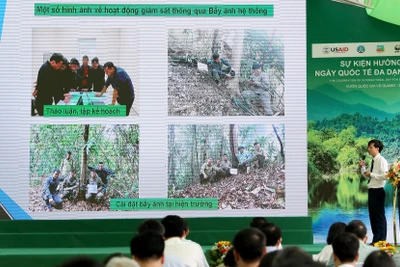 Đại diện Vườn Quốc gia Vũ Quang báo cáo công tác bảo vệ đa dạng sinh học.