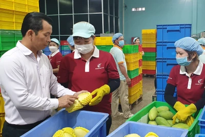 Gian nan bài toán xây dựng thương hiệu cho nông sản tại thị trường EU