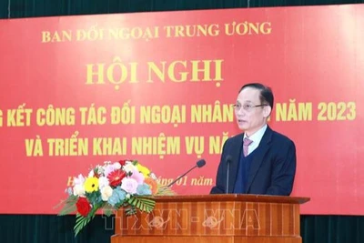Đồng chí Lê Hoài Trung, Bí thư Trung ương Đảng, Trưởng Ban Đối ngoại Trung ương phát biểu chỉ đạo hội nghị. (Ảnh: TTXVN)