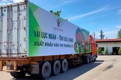 Tăng cường kết nối logistics thúc đẩy tiêu thụ, xuất khẩu nông lâm thủy sản.