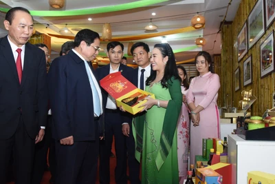 Thủ tướng Phạm Minh Chính và các đại biểu tham quan các gian trưng bày sản phẩm nông nghiệp.