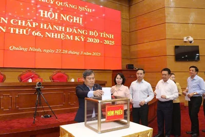 Các đại biểu bỏ phiếu bầu Phó Bí thư Tỉnh ủy Quảng Ninh nhiệm kỳ 2020-2025.