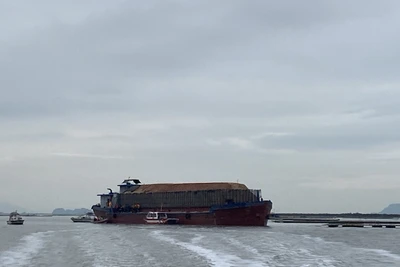 Tàu chở dăm gỗ số hiệu NĐ 2388 - nơi có 3 người trong 1 gia đình bị ngạt khí dưới hầm tàu tử vong.