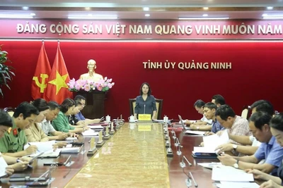 Thường trực Tỉnh ủy Quảng Ninh họp triển khai các biện pháp khắc phục hậu quả của bão số 3.