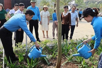 Hưởng ứng Tết trồng cây, cán bộ công đoàn cùng công nhân, người lao động thành phố Điện Biên Phủ trồng cây hoa ban trong Công viên Võ Thị Sáu.