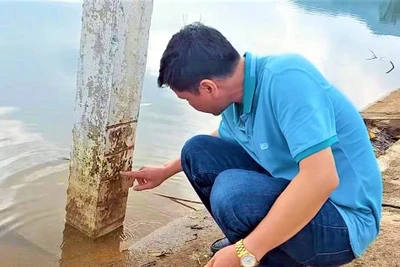 Công nhân công ty thủy nông kiểm tra mực nước tại hồ Pá Khoang.