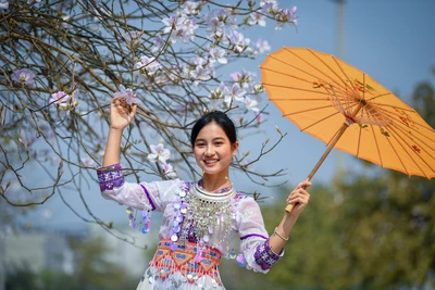 [Ảnh] Thiếu nữ Tây Bắc khoe sắc cùng hoa ban Điện Biên những ngày tháng 3