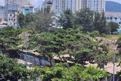 Khu đất này do nhà nước quản lý, nhưng bị can Thanh đã dùng giấy tờ giả nguồn gốc đất để lừa đảo. (Ảnh: Đông Hà)