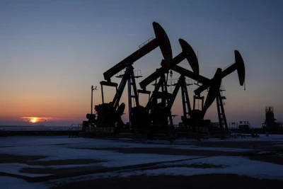 Ảnh minh họa. (Nguồn: THX/TTXVN)