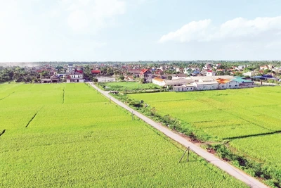 Đường giao thông nông thôn mới xã Tân Lễ, huyện Hưng Hà, tỉnh Thái Bình.