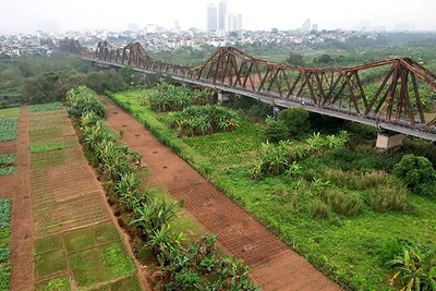 Nhiều chuyên gia đề xuất phải giữ cầu Long Biên khi cải tạo bãi giữa sông Hồng. (Ảnh HỮU NGHỊ)