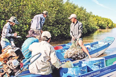 Sau khai thác, các sản phẩm chủ yếu là các loài thủy sản non được mua bán ngay trên các phương tiện đánh bắt.