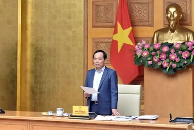 Phó Thủ tướng Trần Lưu Quang phát biểu tại cuộc họp. (Ảnh: VGP)