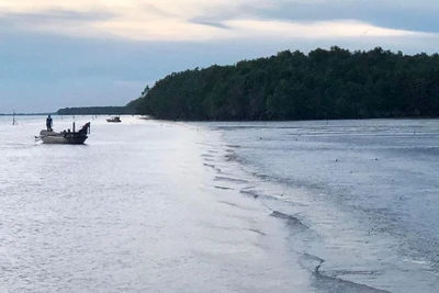 Ven biển Sóc Trăng có trữ lượng cát lộ thiên đủ đáp ứng cho các dự án đường cao tốc vùng đồng bằng sông Cửu Long.