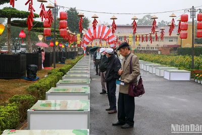 Đường thơ tại Ngày thơ Việt Nam 2023. (Ảnh: NHẬT QUANG)